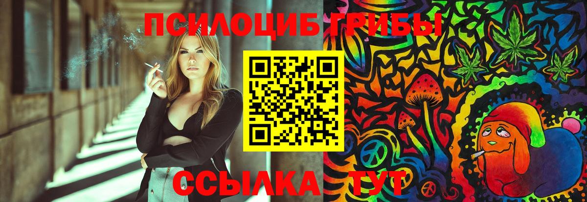 Галлюциногенные грибы Psilocybe  Вход с VPN  Долгопрудный 